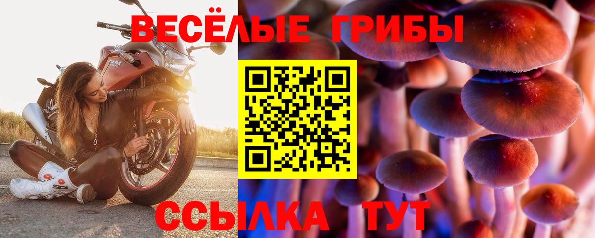 Псилоцибиновые грибы мицелий Кохма