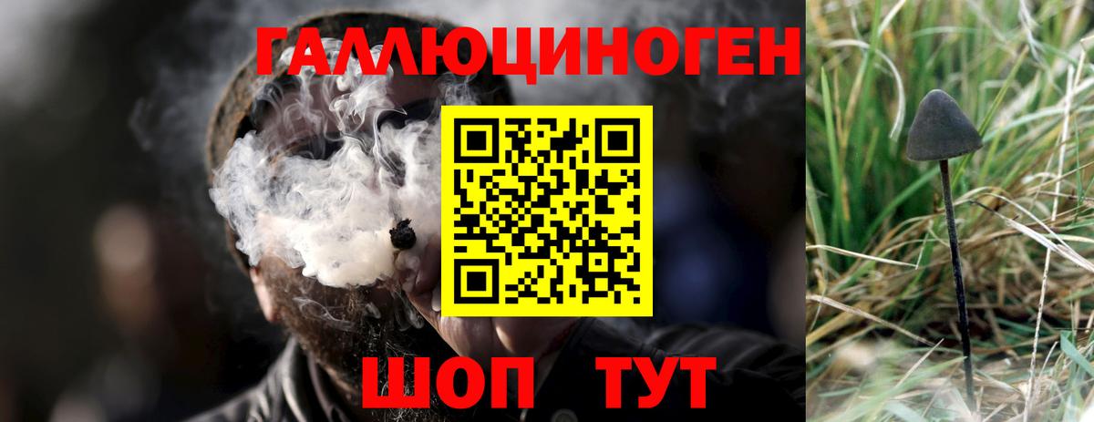 Кохма  магазин    Вход с VPN  Галлюциногенные грибы MAGIC MUSHROOMS 